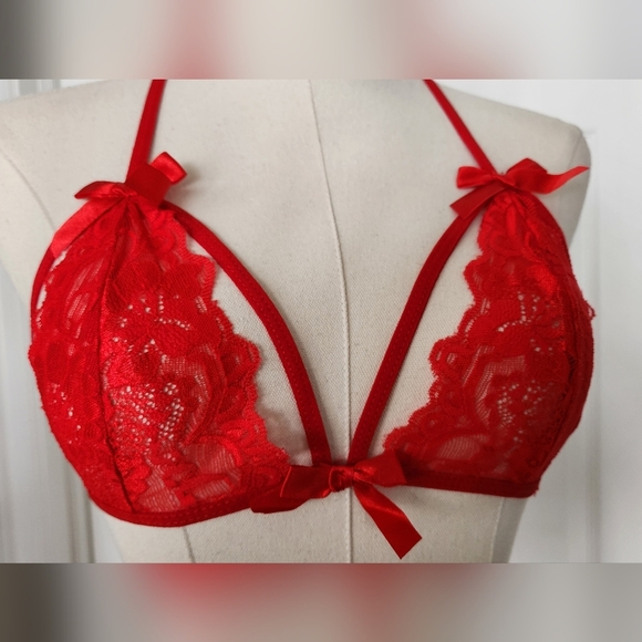 NWOT Red Lace Bra and Panty Set - Picture 3 of 8